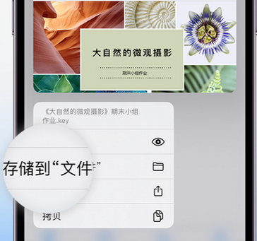 西山apple维修中心分享iPhone文件应用中存储和找到下载文件