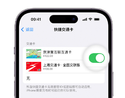 西山apple维修点分享iPhone上更换Apple Pay快捷交通卡手绘卡面 