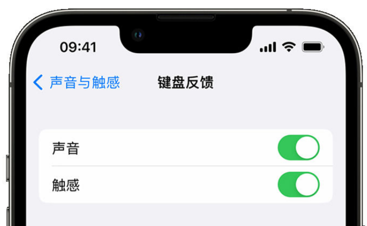 西山苹果手机维修分享iPhone 14触感键盘使用方法 