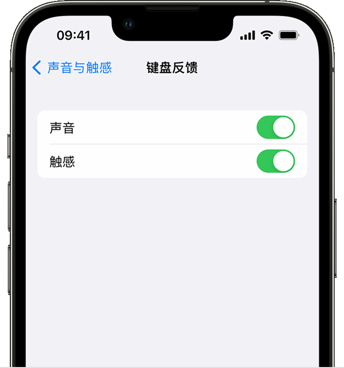 西山苹果14维修店分享如何在 iPhone 14 机型中使用触感键盘 