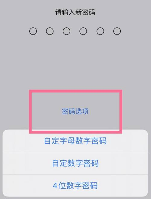 西山苹果14维修分享iPhone 14plus设置密码的方法 