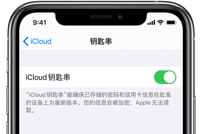 西山苹果手机维修分享在 iPhone 上开启 iCloud 钥匙串之后会储存哪些信息 